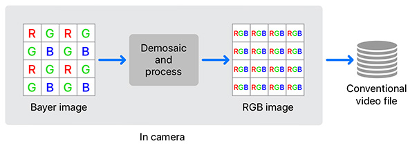 Relationship between RAW, Log, and LUT Files—Understanding Gray Value Linearization and Lookup Table Correction Concepts (Image Source: Larry Jordan)