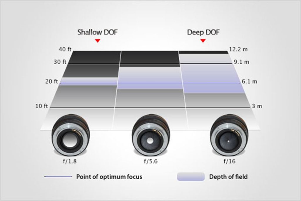Effect of lens aperture (F-number) on depth of field—large aperture for shallow DOF, small for deep (Image Source: Scientific Imaging)