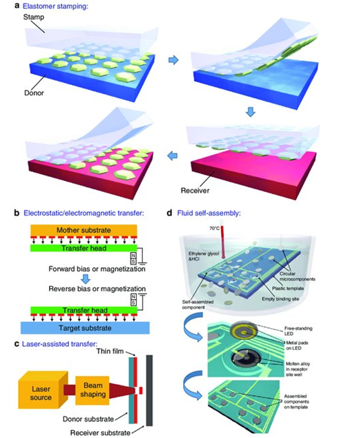 Comparison of multiple mass transfer technology routes—pick-and-place, laser transfer, fluidic self-assembly, etc., each with its own pros and cons (Image Source: Radiant Vision Systems)
