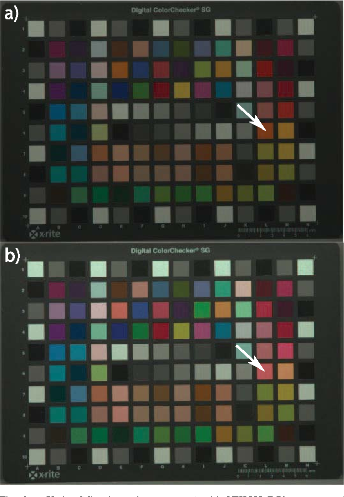 根多项式回归方法在色彩校正中的应用——Finlayson等人的研究展示了其相较于传统多项式的优势